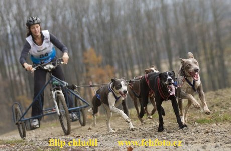 Trnavka 08 - 392.jpg